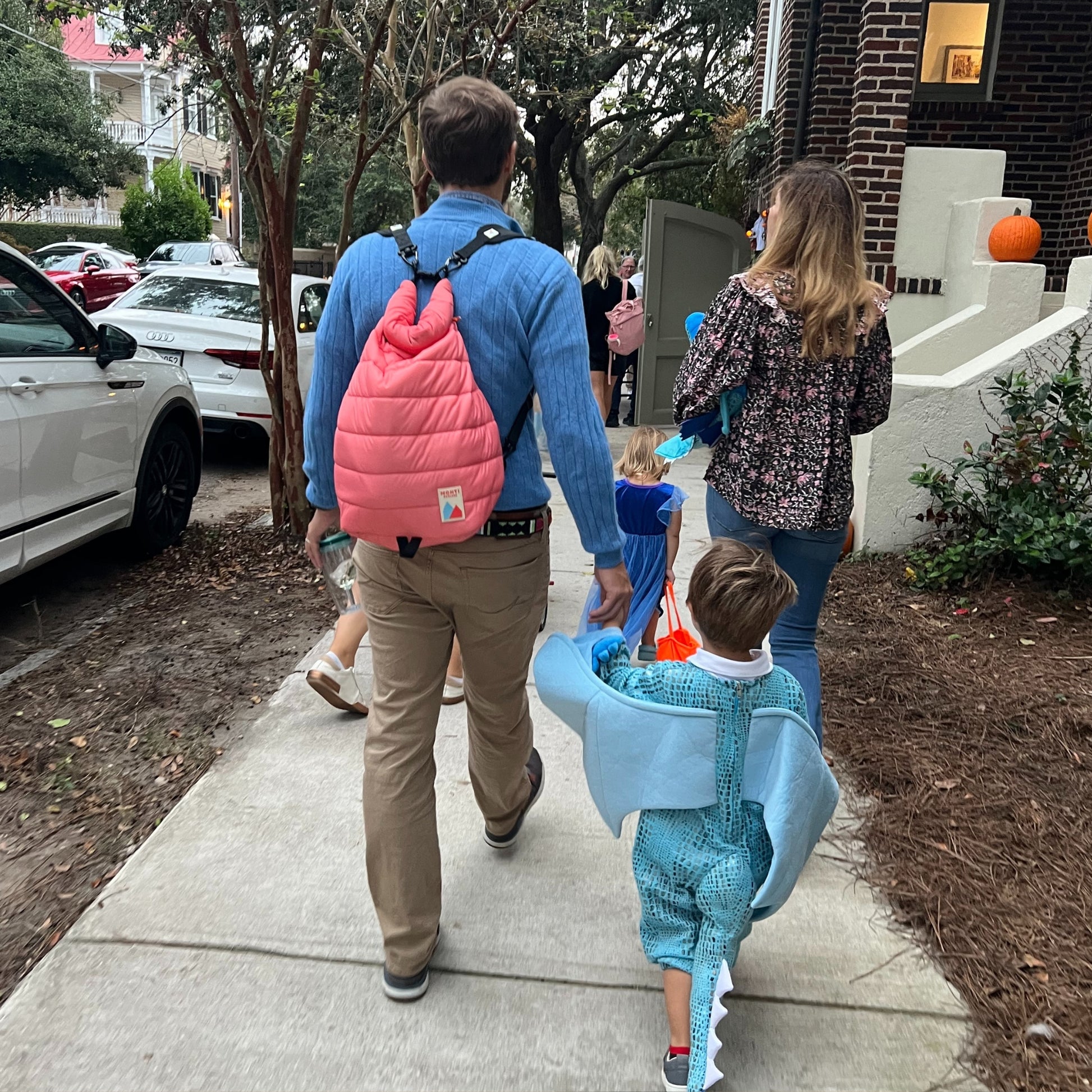 Monti Coolers - Backpack Straps (For Older Monti Cooler Versions) - Default Title