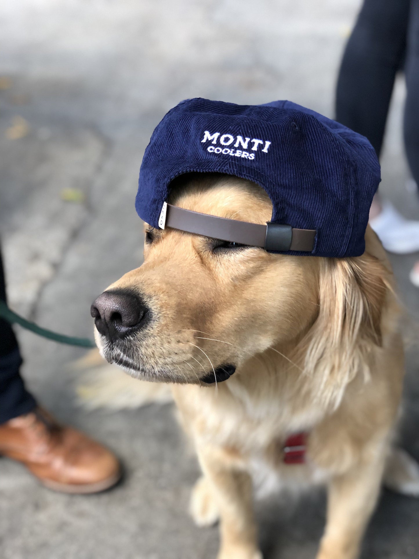 Monti Coolers - Corduroy Hat - Default Title